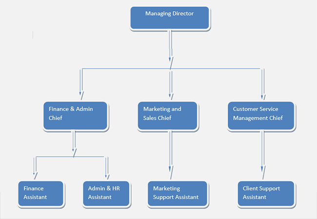 Managing Director Organizational Chart