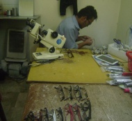 Optical Fitter & Salse Girl